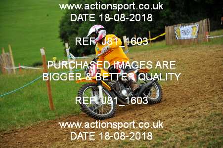 Photo: J81_1603 ActionSport Photography 18/08/2018 Somerset Scramble Club - Cotley  _2_ClassicsPre65Pre74 #50